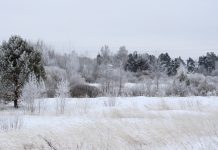 До -10°С похолодает в Рязанской области к вечеру воскресенья