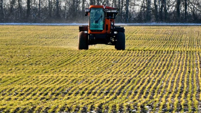 Именин 25.03.25