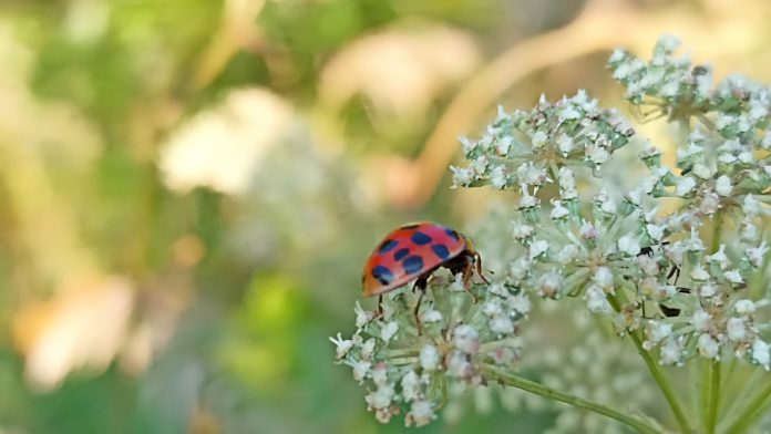 hexlBwwzyBpcSt62DahViS9_rfZuPMkBXVdt4qDy0YAaS2xKPHTqkJGqozy5M1iNeEHbK1GIy4cdIjdmw5O8g078