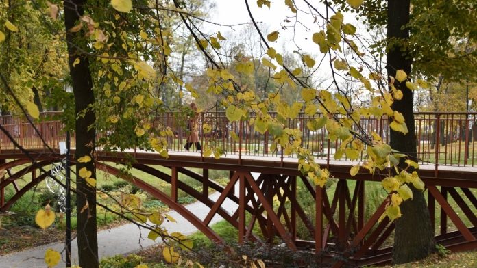 osen-nizhniij-park.-pressa.11.10.25