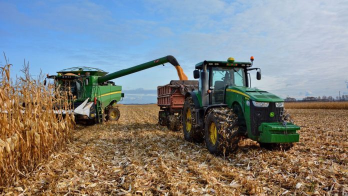 уборка кукурузы. адм Кораблино.31.10.25