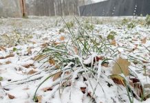 Небольшой снег и до -19°С ночью обещают рязанцам 2 января