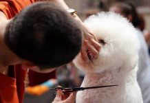 Фитнес-тренер, коуч и SMM-менеджер официально стали профессиями в России