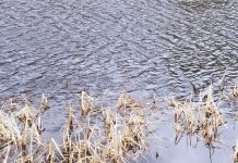 В реке Ранове в Кораблинском округе утонула женщина