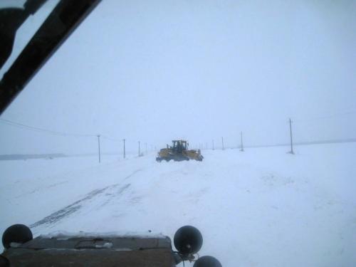 803bb717-be19-4f90-993f-a1a425da4dc1